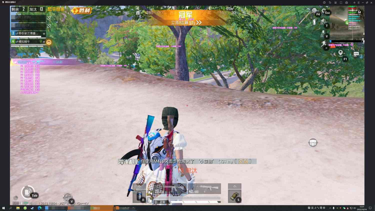 和平精英「小提琴」直装辅助