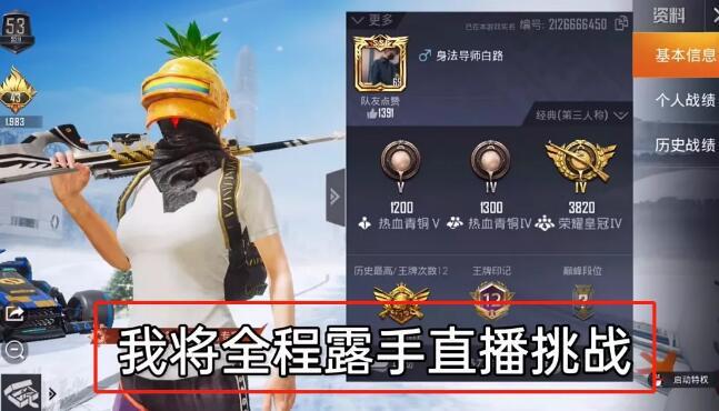 和平精英辅助【九世】
